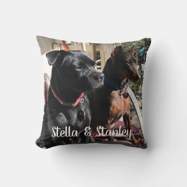 Smeknamn kudder ordstäv på baksida kudde (Framsida)