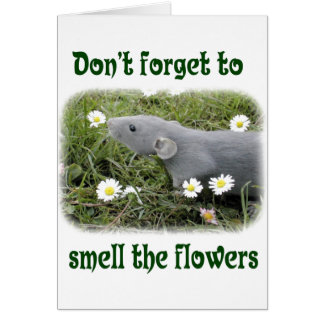 Smell blommorna hälsningskort