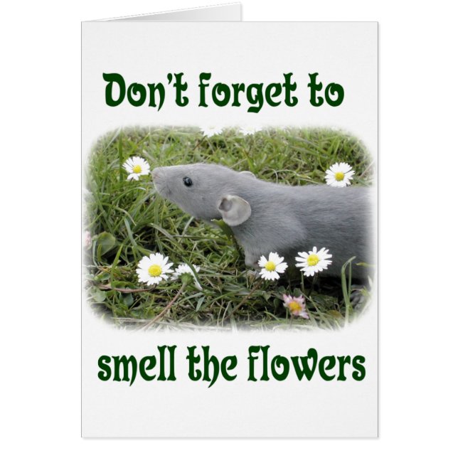 Smell blommorna hälsningskort (Framsidan)