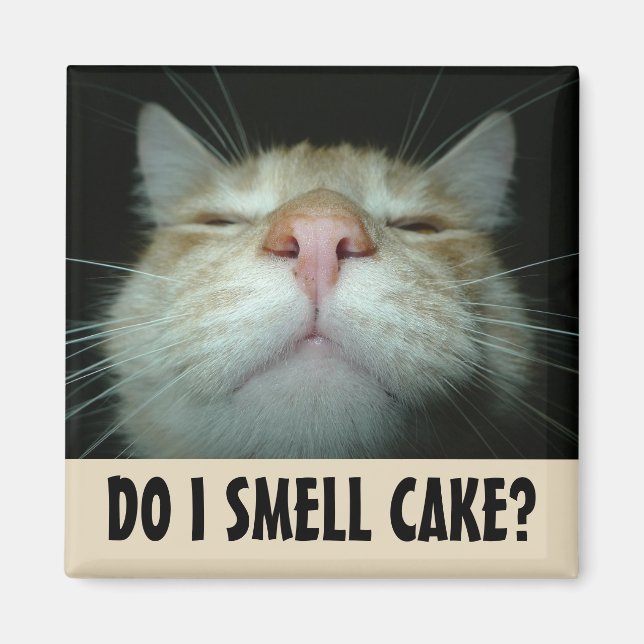 SMELL CAKE? FUNNY ORANGE CAT MAGNETS MAGNET (Framsidan)