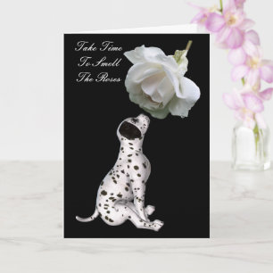 Smell Puppy Ro inspiration i Rosor Kort