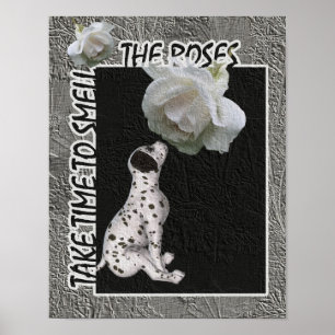 Smell Ro Dalmatien Puppy-inspirationen Poster