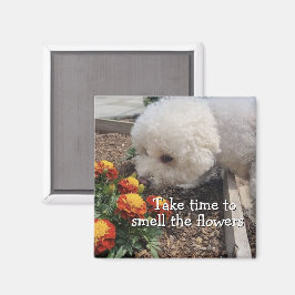 Smell the Flowers Magnet