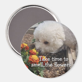 Smell the Flowers Magnet