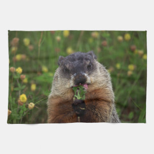 Smelling Vår Groundhog Kökshandduk