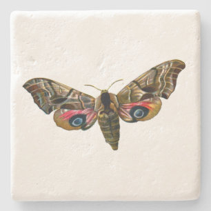 Smerinthus ocellata - Eyed Hawk-Moth - Färgbild Stenunderlägg
