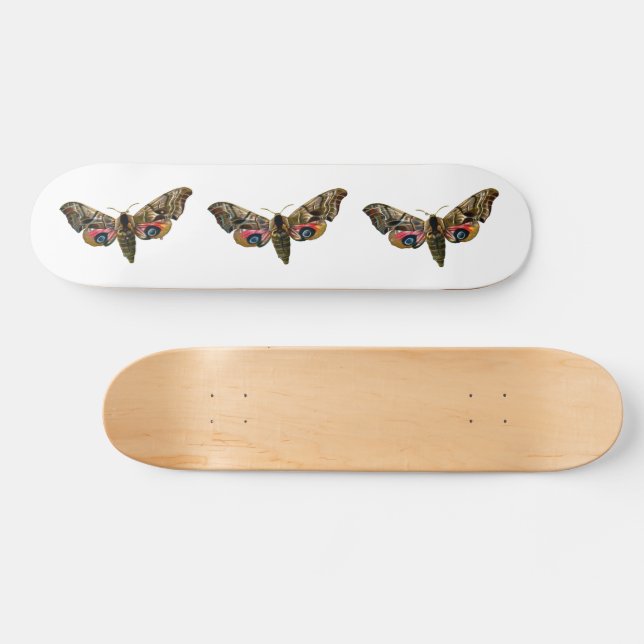 Smerinthus ocellata - Eyed Hawk-Moth-Färgbilden Mini Skateboard Bräda 18,5 Cm (Horz)