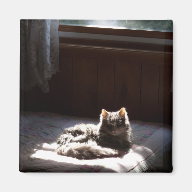 Smeta magnet (Framsidan)