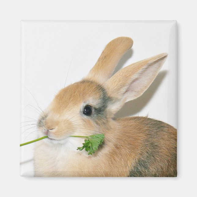 Smil när du äter det magnet (Framsidan)