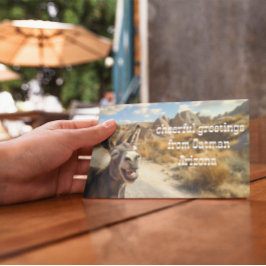 Smilande åsna, Oatman Arizona Inbjudningar