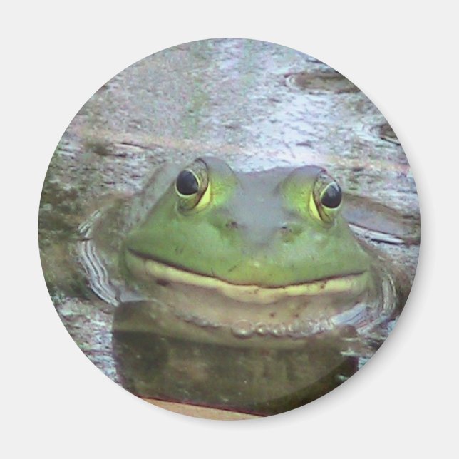 Smilande Frog Ansikte Magnet (Framsidan)