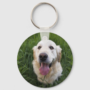 Smilande Golden Retriever Nyckelring