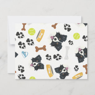 Smilande Hund Collie