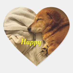 Smilande Hund Hjärtformat Klistermärke