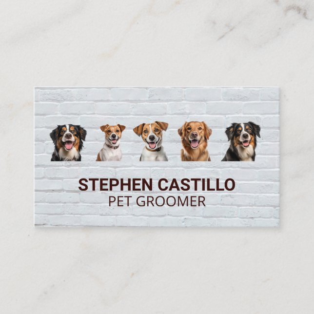 Smilande Hundar | Brick Wall Visitkort (Framsida)