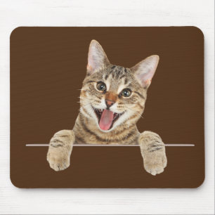 Smilande Tabby katt Musmatta