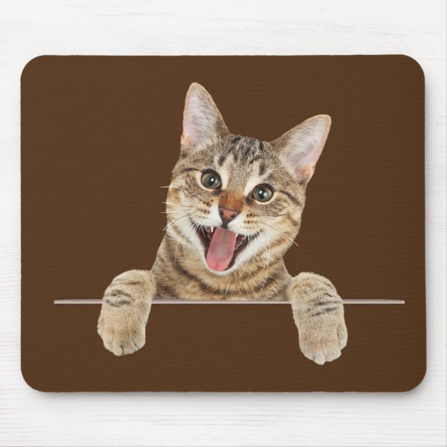 Smilande Tabby katt Musmatta (Framsidan)