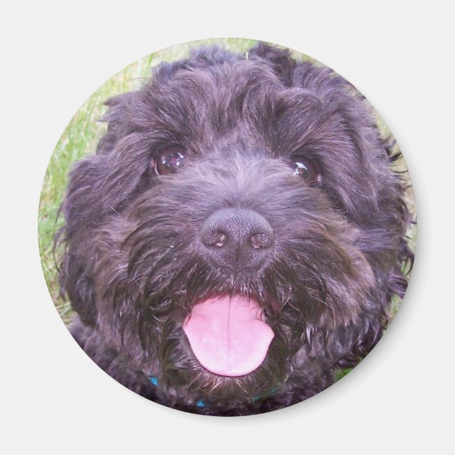 Smilande valp magnet (Framsidan)