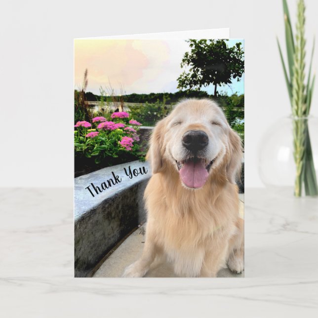 Smilda Golden Retriever vid Sunset Tack Kort (Framsida)