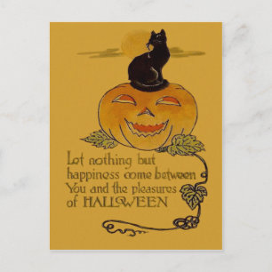 Smildrande av svart katt från Jack o lantern Pumpk Vykort