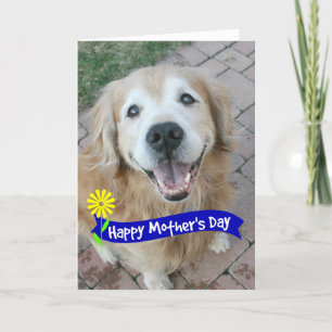 Smildrande Golden Retriever Mors dag Kort