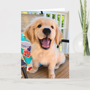 Smildrande Golden Retriever Puppy-Hej Kort