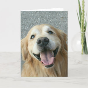 Smildrande Golden Retriever Tack Kort