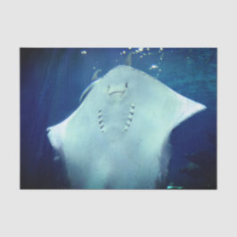 Smildrande matningspapper för Ray Gift-affisch