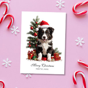 Smildrande Personlig för Gräns Collie Julvalpen Julkort