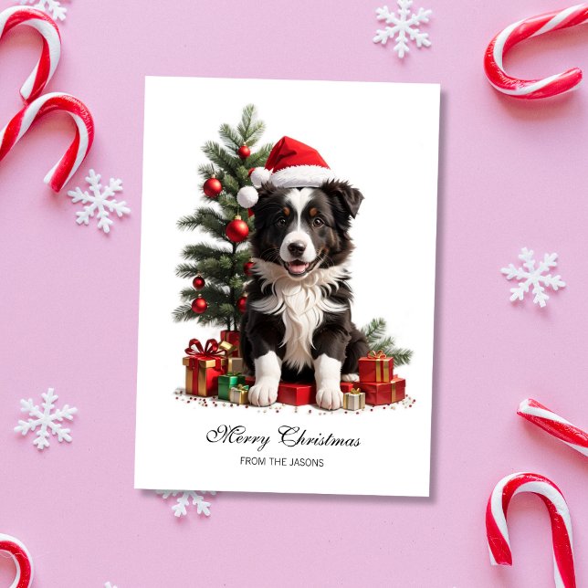 Smildrande Personlig för Gräns Collie Julvalpen Julkort (Smiling Border Collie Christmas Puppy Holiday Card)