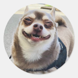 Smile Big Huey Runt Klistermärke