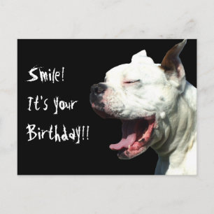 Smile det är din födelsedag Vita Boxer-hund-vykort Vykort