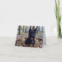 Smile det är Fall Card Kort