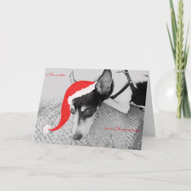 Smile, det är jul, kort med Råtta Terrier (Framsida)