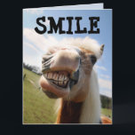 SMILE HORSE FUNNY BIRTHDAY BIG CARD KORT<br><div class="desc">SMILE HORSE FUNNY BIRTHDAY Card</div>
