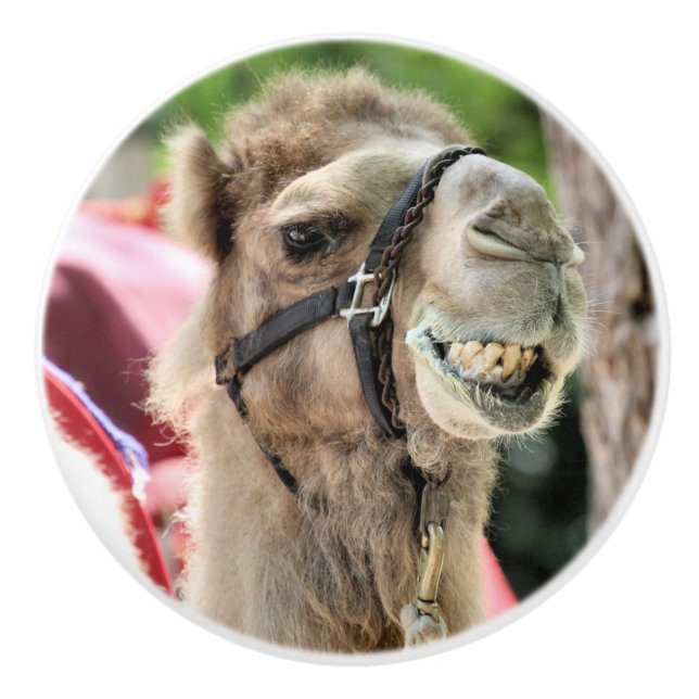 Smile Knopp (Framsidan)