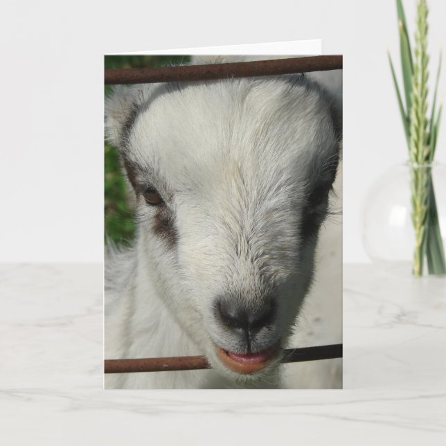 Smile Kort (Framsida)