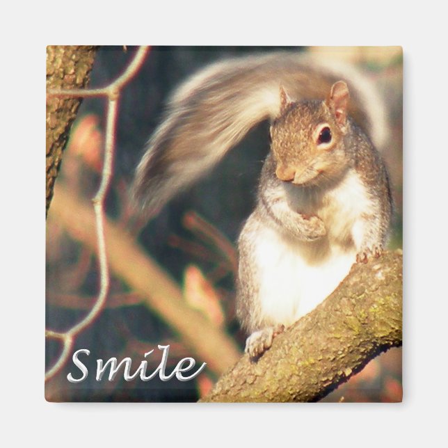 Smile Mr Squirrel Magnet (Framsidan)