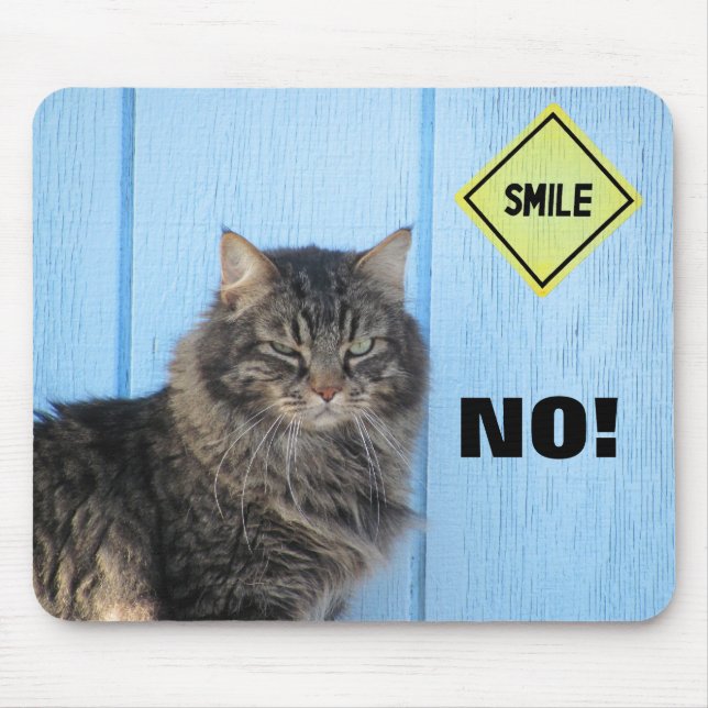 Smile? Nej! Kattnota Musmatta (Framsidan)
