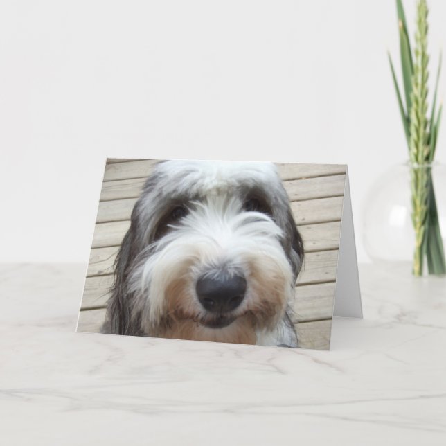 Smile Old English Sheepdog Card Kort (Framsida)