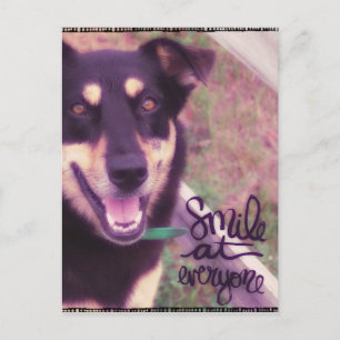 Smile på All Hund Vykort