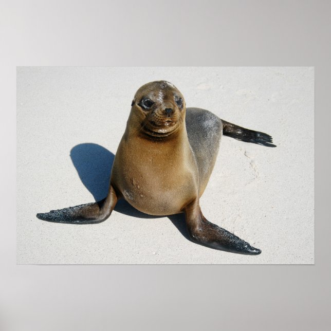 Smile Poster (Framsidan)