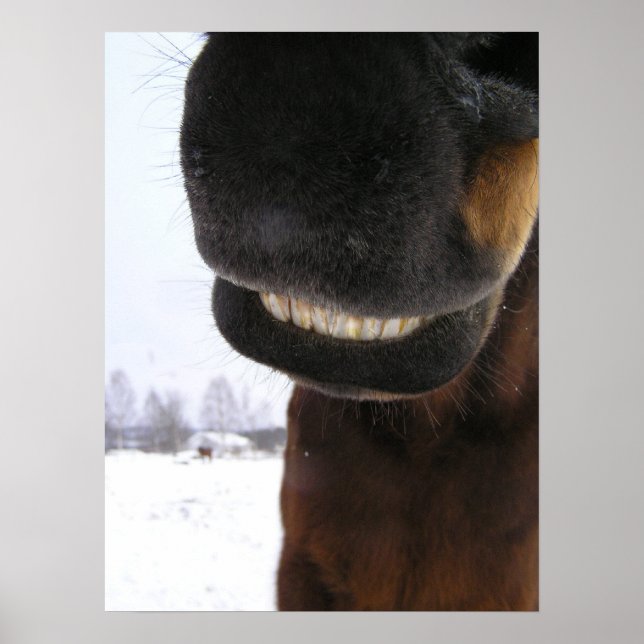 Smile Poster (Framsidan)