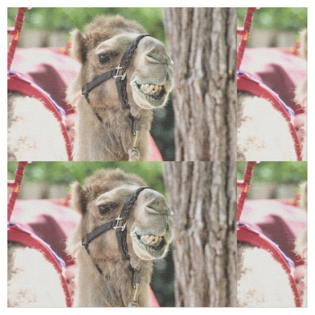 Smile Tyg (Närbild)