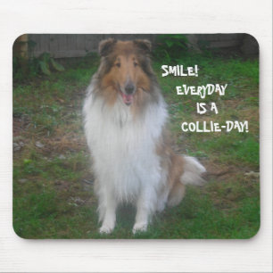 SMILE! VARJE DAG ÄR EN KOLLISDAG! MUSMATTA