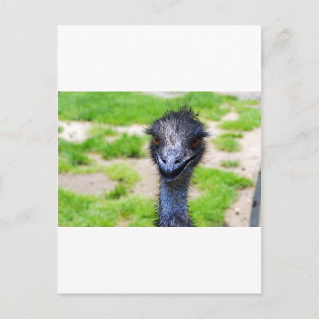 Smile Vykort (Framsida)