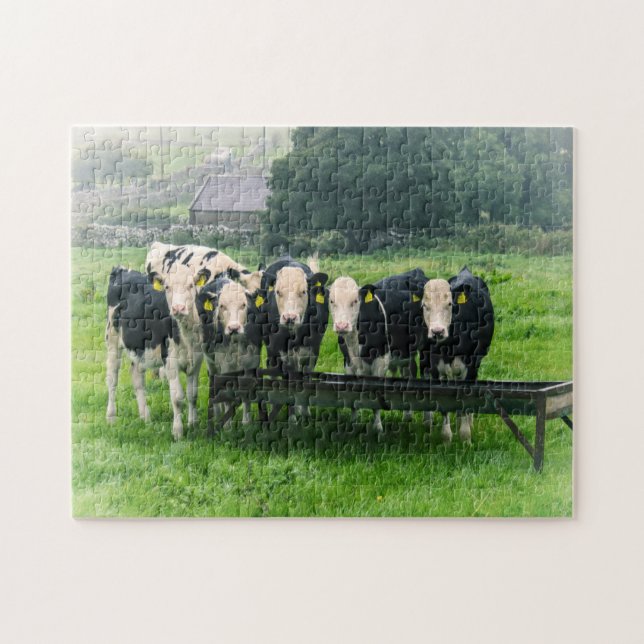 Smilen, tack! Cute cows Pussel (Horisontell)