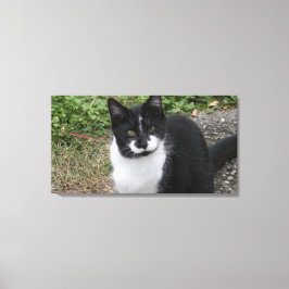 Smiler Charity  Canvastryck