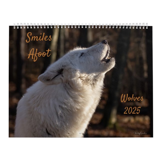 Smiles Afoot-Varger 2025-kalender Kalender (Omslag)