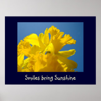 Smiles för att ta solfärgsutskrifter presenterar D Poster